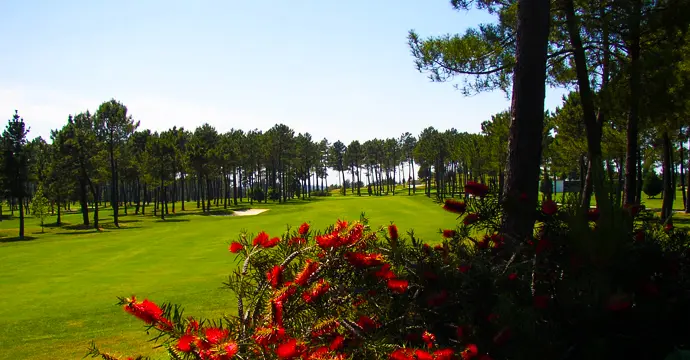 Spain golf courses - Meis Golf Course - Photo 2