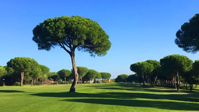 Spain golf courses - Bellavista Golf Club - Photo 9