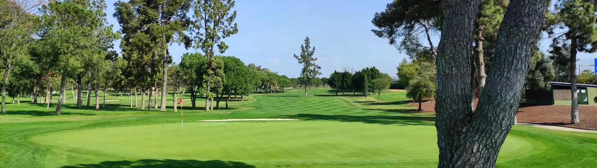 Spain golf courses - Real Club Pineda de Sevilla - Photo 5