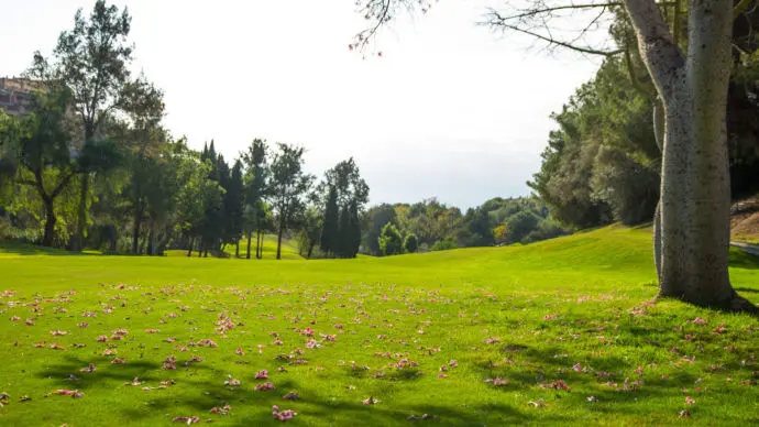 Spain golf courses - Santa Maria Golf & Country Club - Photo 11