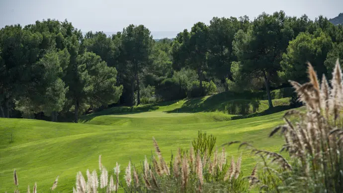 Spain golf courses - Vall D'Or Golf Course - Photo 8