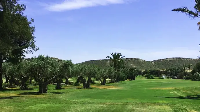 Spain golf courses - El Plantio Golf Course - Photo 6