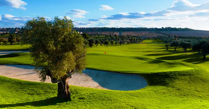 Spain golf courses - La Finca Golf Course - Photo 9