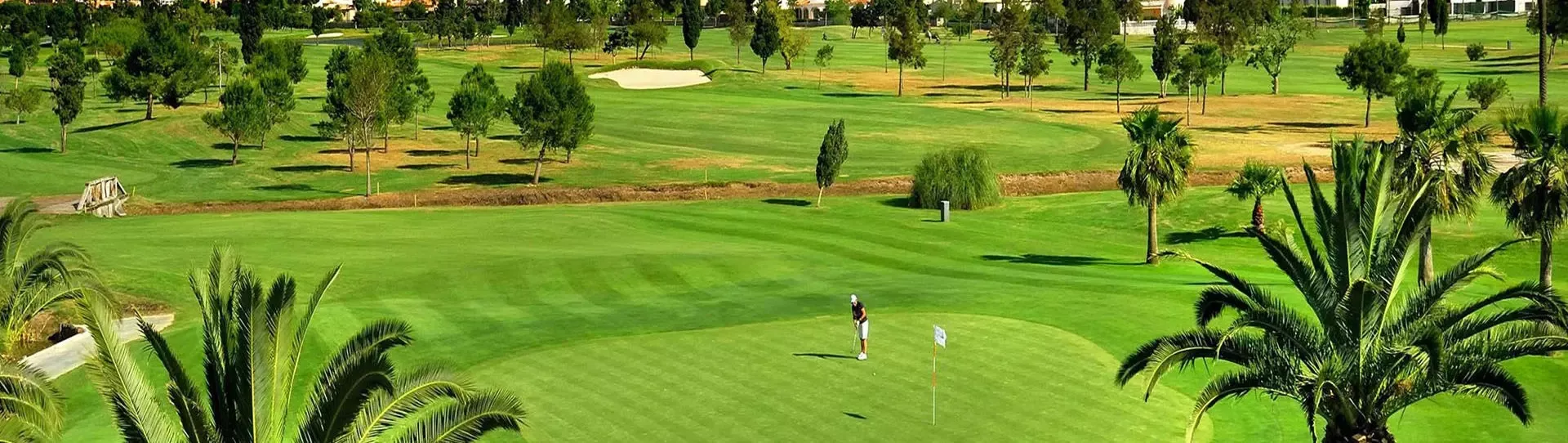 Spain golf courses - Oliva Nova Golf Course - Photo 2